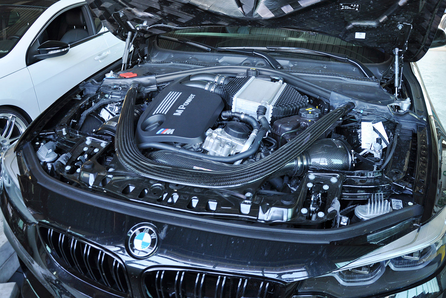 MTB-Performance – Willkommen